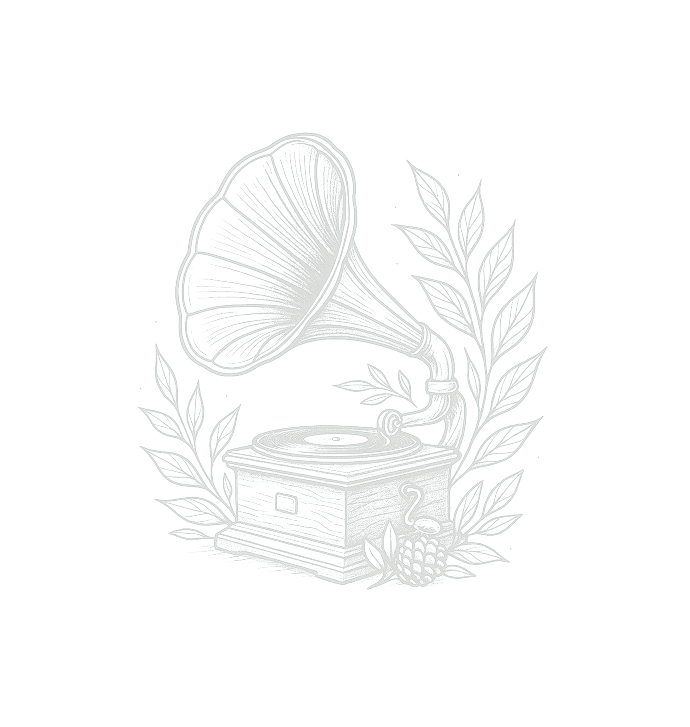 Gramophone icon