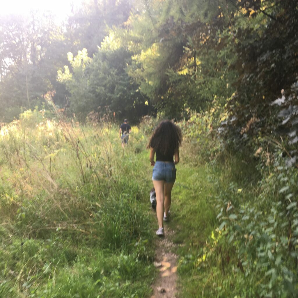 woodland walking near stroud