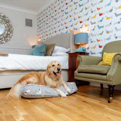 An image of a Pet Friendly category bedroom at Burlrigh Court