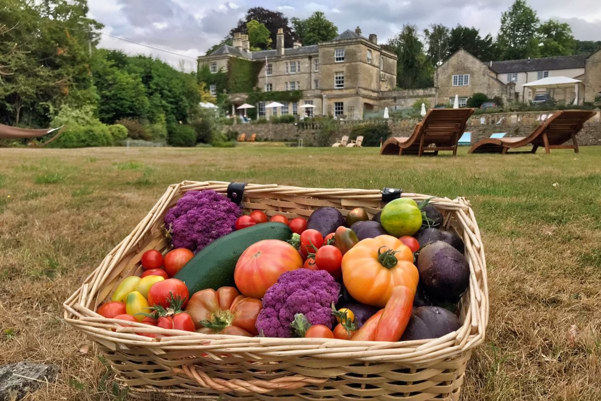 kitchen garden _ fresh produce _ Burleigh Court Cotswolds Hotel _ Restaurant