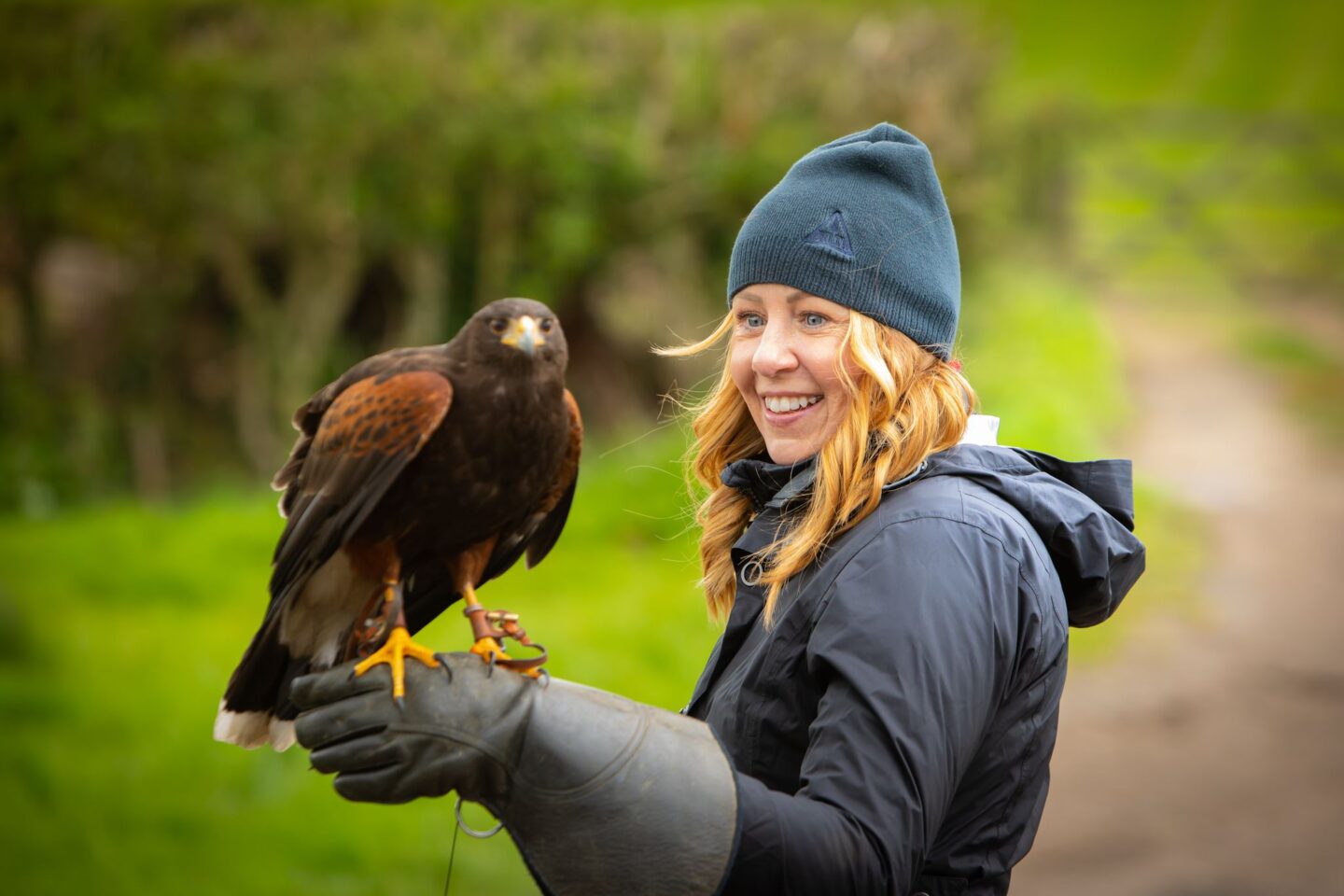 falconry at burleigh court cotswolds