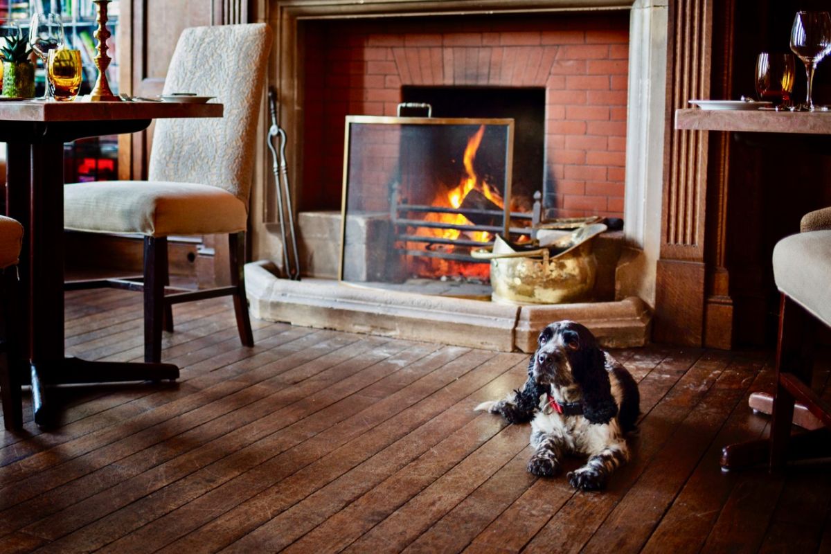 dog friendly _ dining with dog _ Burleigh Court Cotswolds Hotel & Restaurant