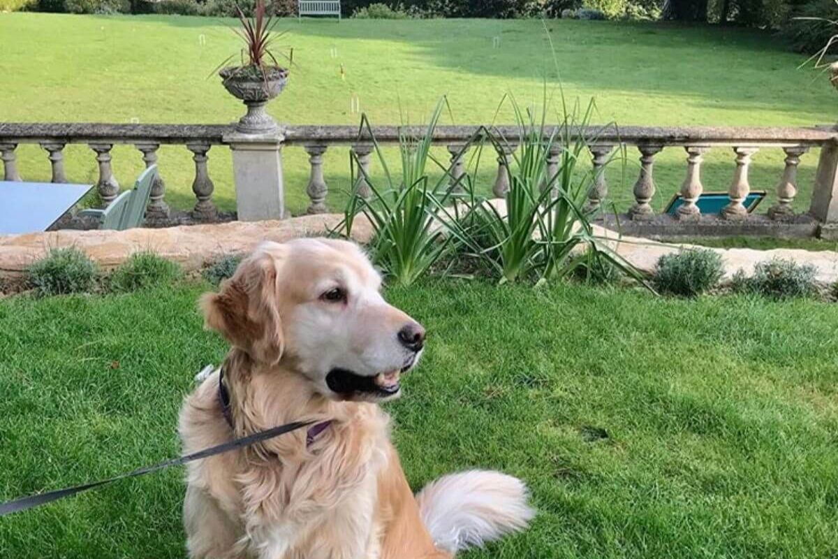 dog friendly _ large garden _ Burleigh Court Cotswolds Hotel & Restaurant