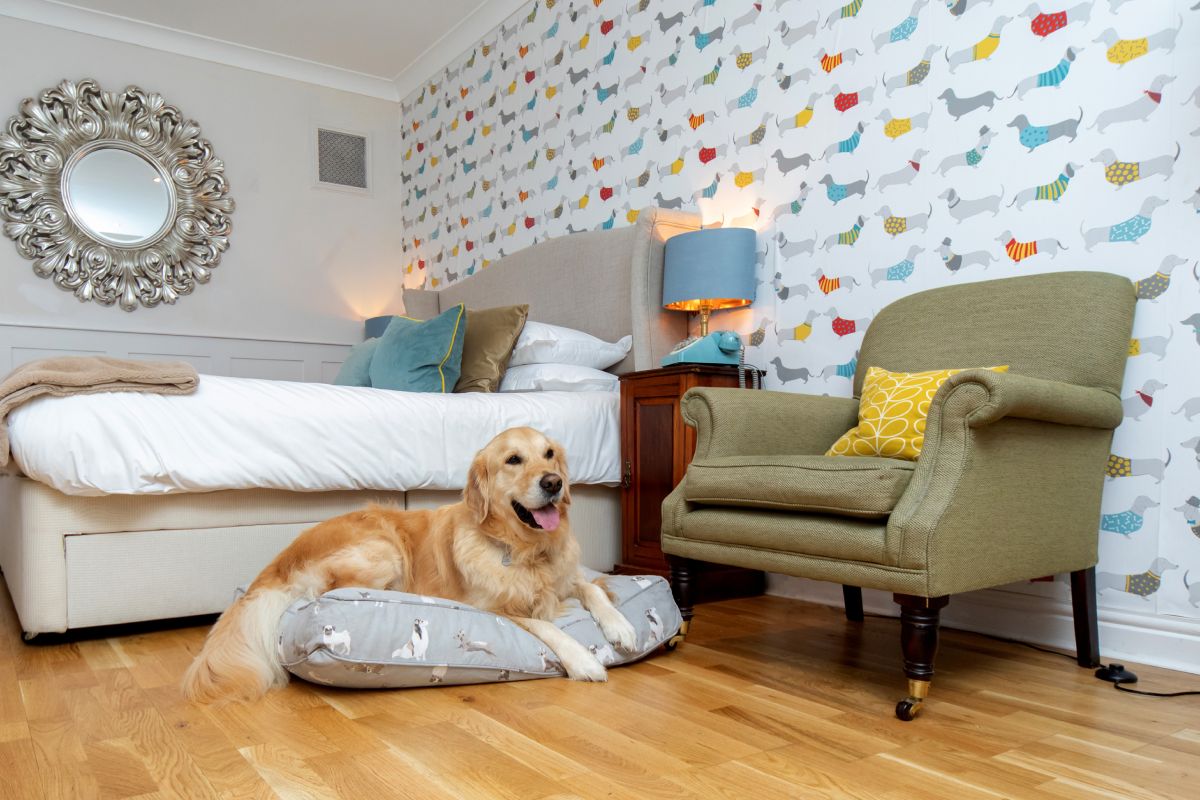 dog friendly _ rooms _ Burleigh Court Cotswolds Hotel & Restaurant