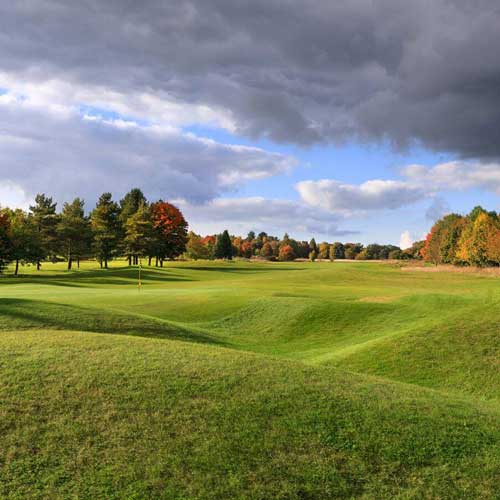 Golfing