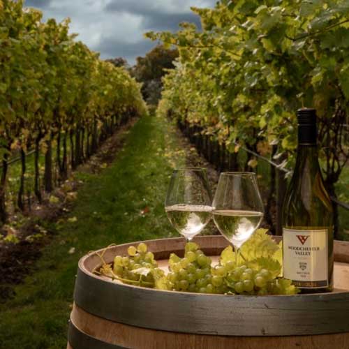Wine Tasting Tours